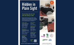  Hidden InPlain Sight
